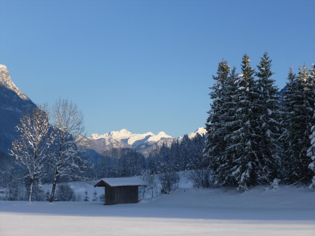Apartmán Hauser